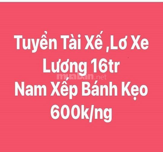 CẦN GẤP tài xế - phụ xe lương cao KHÁNH HÒA Thương lượng 62440394 CẦN GẤP tài xế - phụ xe lương cao KHÁNH HÒA Thương lượng