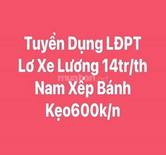 Tuyển tài xế B-B2 -C phụ xe - tài xe nâng - bốc xếp hàng kho