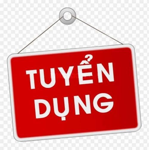Tuyển nhân viên IT tại Nha Trang