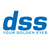 Công ty Cổ phần Giải pháp Dịch vụ số (DSS)