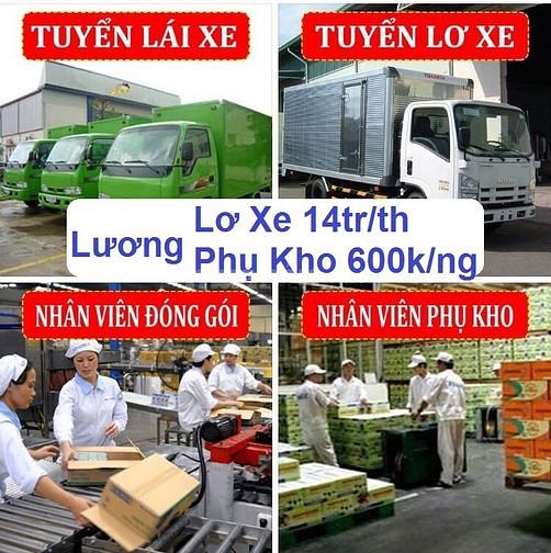 Can gap nhan vien lo xe va nhan vien phu