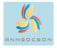 cong-ty-tnhh-thuong-mai-va-dich-vu-an-ngoc-son